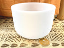 MEINL Sonic Energy Crystal Singing Bowl 12" CSB12E