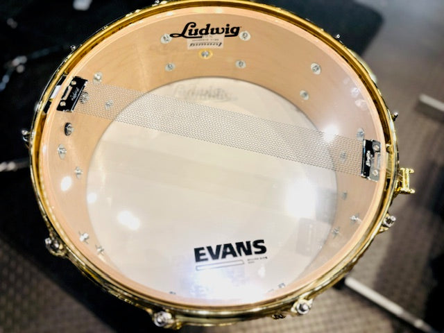 Ludwig Anderson.Paak "Pee .Wee " 14"×6.5” スネアドラム LS403TDPWB