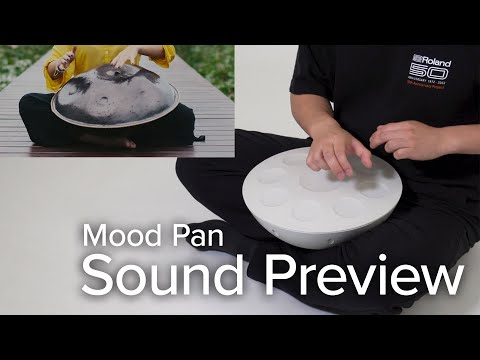 7/26発売 ご予約受付中】ROLAND Mood Pan Electronic Hand