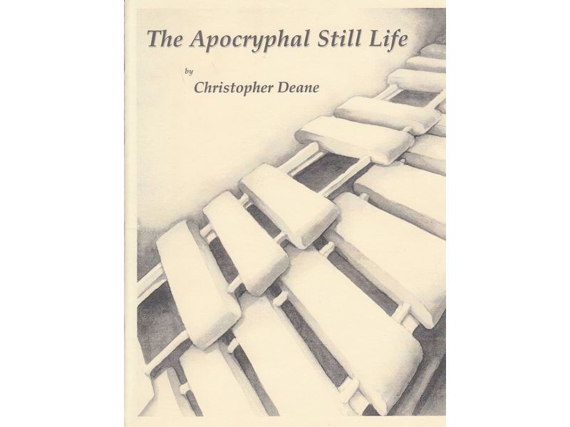 The Apocryphal Still Life [Vibソロ]