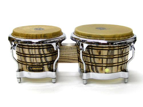 Latin Percussion