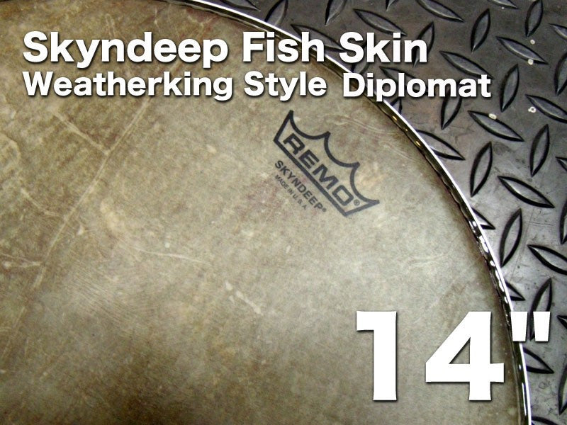 REMO レモ Skyndeep Diplomat 14インチ Fish Skin Graphic