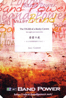 岩窟の虎　〜8人の打楽器奏者のために